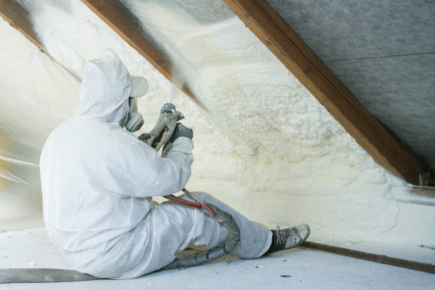 Types of Insulation We Offer in Green Cove Springs, FL