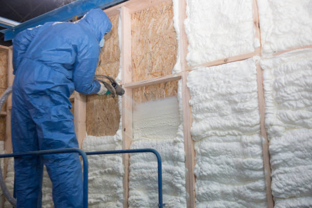 Insulation Air Sealing